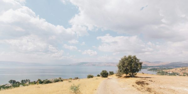 Israel_Berg der Seligpreisungen Israel_Berg der Seligpreisungen